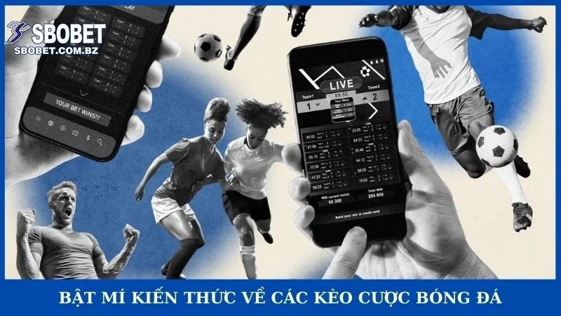 Các Kèo Cược Bóng đá Phổ Biến Và Bí Kíp đọc Kèo Cho Newbie - VAJUKO
