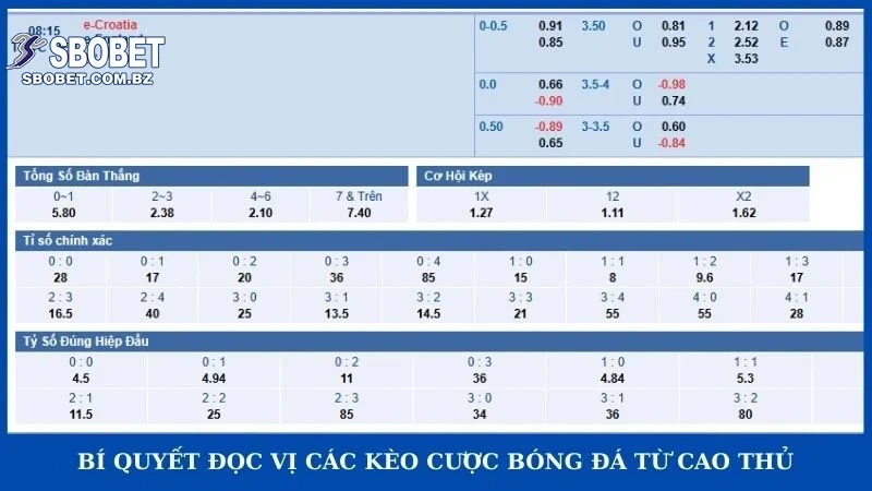 Các Kèo Cược Bóng đá Phổ Biến Và Bí Kíp đọc Kèo Cho Newbie - VAJUKO