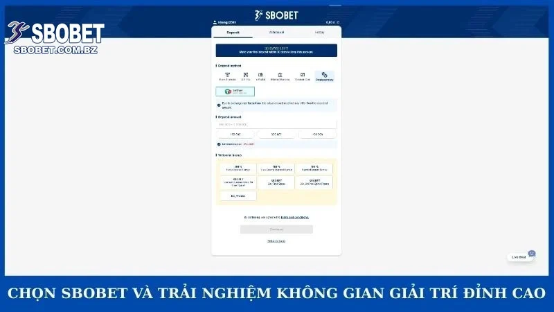 Hướng Dẫn Nạp Tiền Sbobet - Bí Quyết Giao Dịch Cho Newbie! - VAJUKO