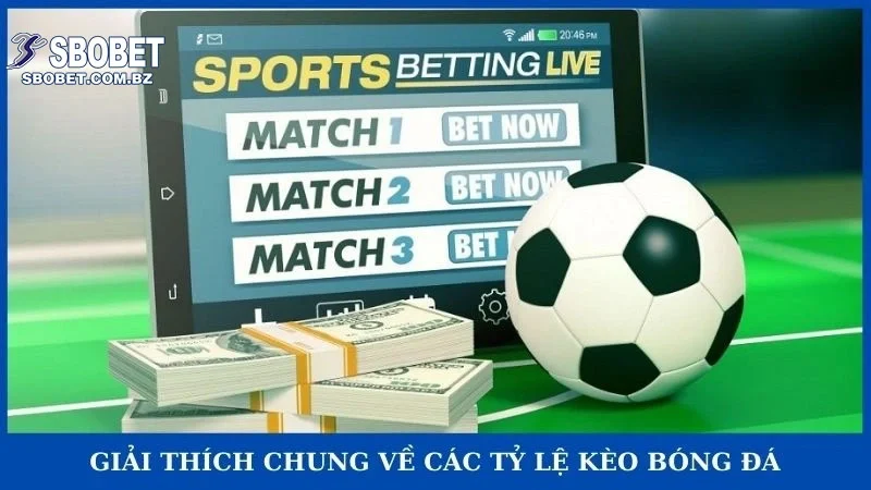 Các Tỷ Lệ Kèo Bóng đá - Cẩm Nang Cá độ Cho Newbie Chuẩn 2026 - VAJUKO