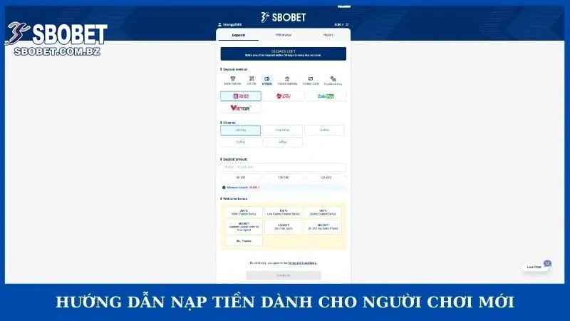 Hướng Dẫn Nạp Tiền Sbobet - Bí Quyết Giao Dịch Cho Newbie! - VAJUKO