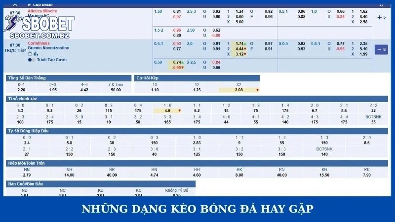 Các Tỷ Lệ Kèo Bóng đá - Cẩm Nang Cá độ Cho Newbie Chuẩn 2026 - VAJUKO